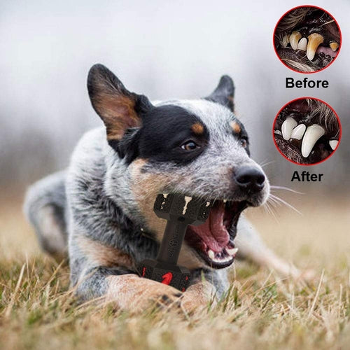 Dog Chew Toys for Aggressive Chewers Non-Toxic Dental Pet Toy forLarge