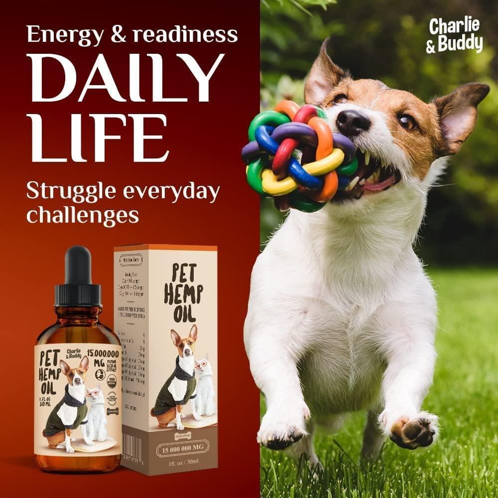 Charlie Buddy   H–µmp Oil for Dogs Cats   Hi—Ä and J–æint Supp–ært and