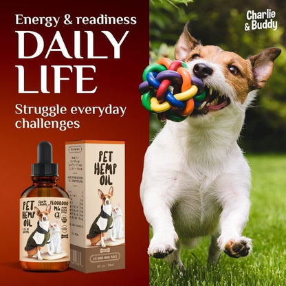Charlie Buddy   H–µmp Oil for Dogs Cats   Hi—Ä and J–æint Supp–ært and